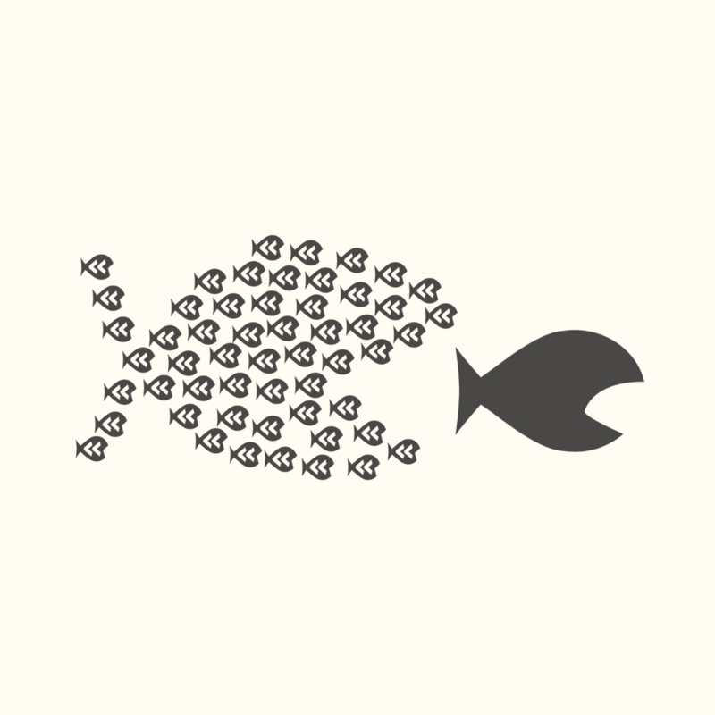 The logo of Stroomversnellers: a small fish being eaten by a group of smaller fish that together form a big fish.